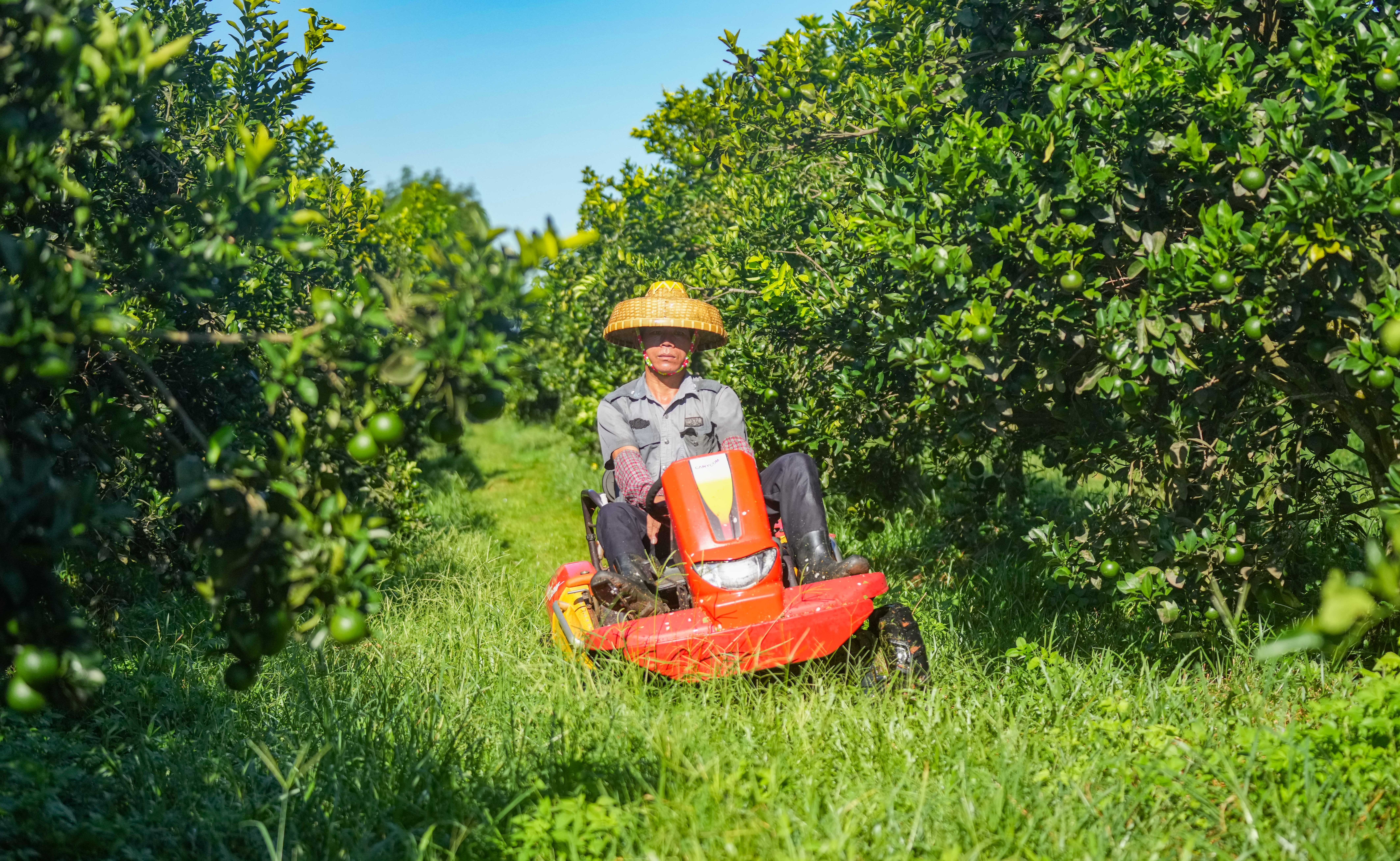 1721177925614055243.jpg 1721177925614055243.jpg