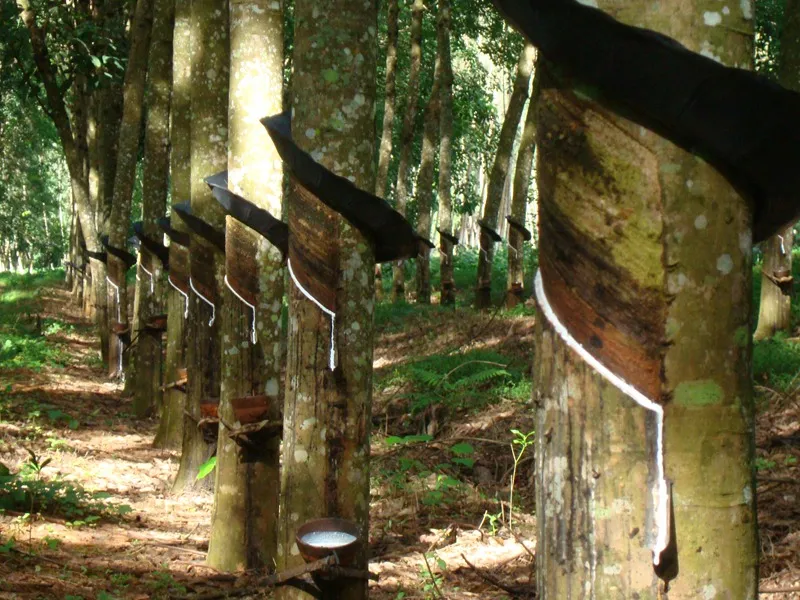 1722994382222003239.jpg 1722994382222003239.jpg