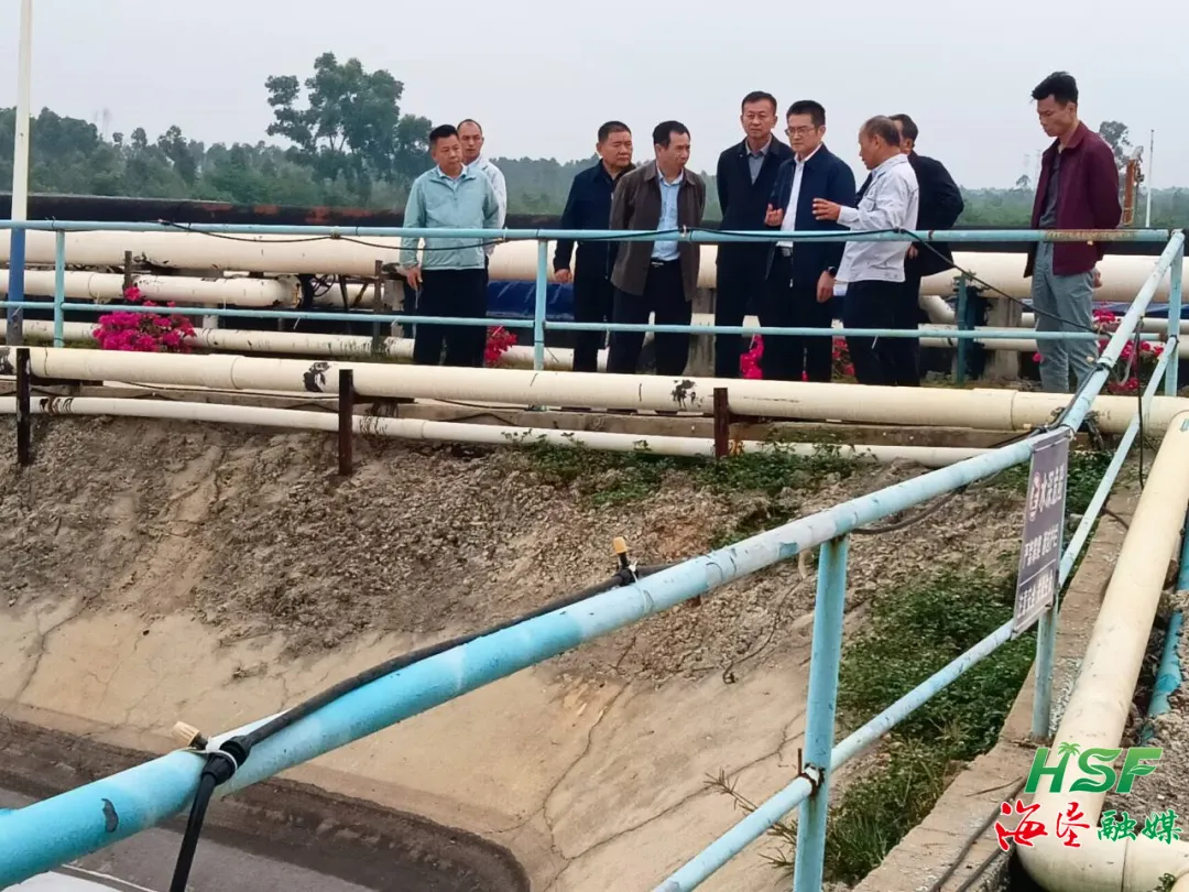 1734680097022019891.jpg 1734680097022019891.jpg