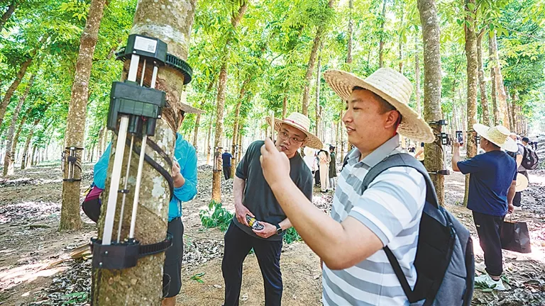 1745713804997069242.jpg 1745713804997069242.jpg