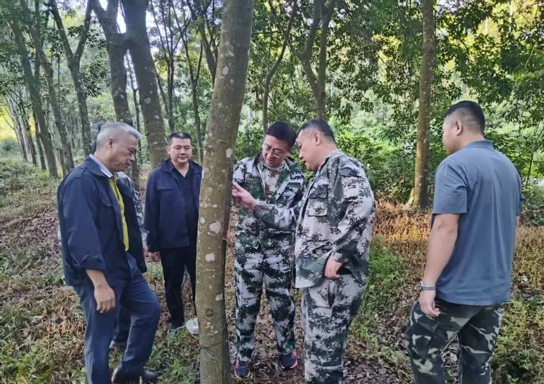 1748176726943001442.jpg 1748176726943001442.jpg